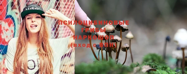 а пвп мука Бугульма