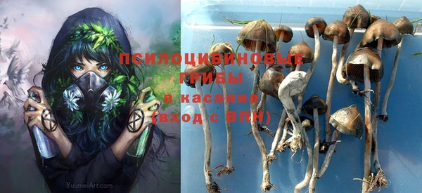 гашиш Бородино