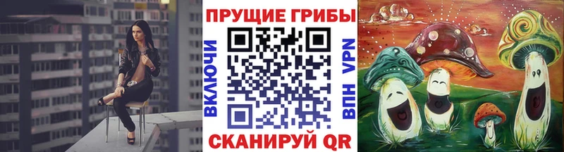 Псилоцибиновые грибы мицелий  Купить  Заволжск 